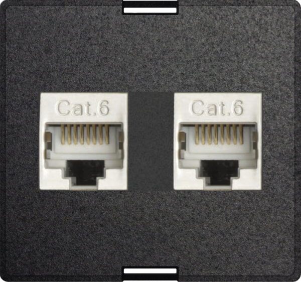 Exchangeable module 2x RJ45 modular CAT6 full